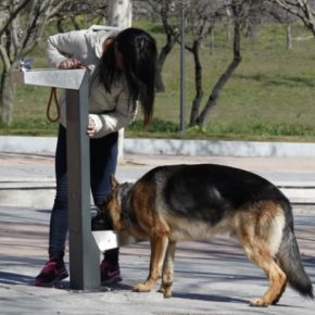 Cs Majadahonda propone instalar fuentes mixtas de agua potable para personas y perros en parques y zonas verdes